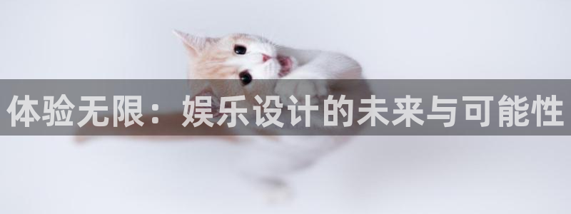 庄闲和游戏官网：体验无限：娱乐设计的未来与可能性