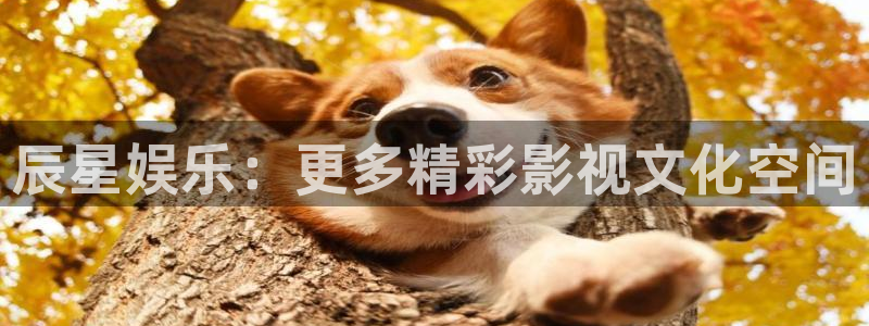 庄闲和游戏官网：辰星娱乐：更多精彩影视文化空间