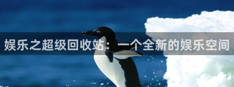 庄闲和游戏官网：娱乐之超级回收站：一个全新的娱乐空间
