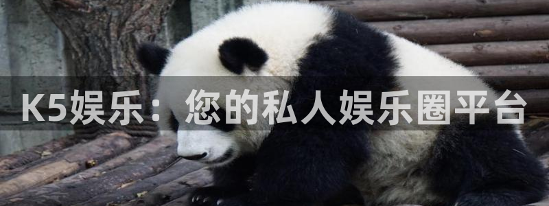 庄闲和游戏官网：K5娱乐：您的私人娱乐圈平台