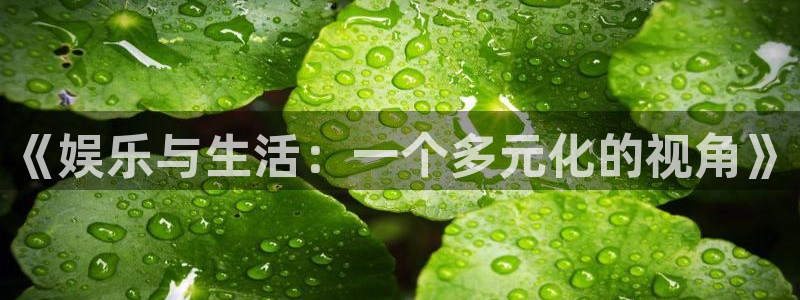 庄闲和游戏官网：《娱乐与生活：一个多元化的视角》