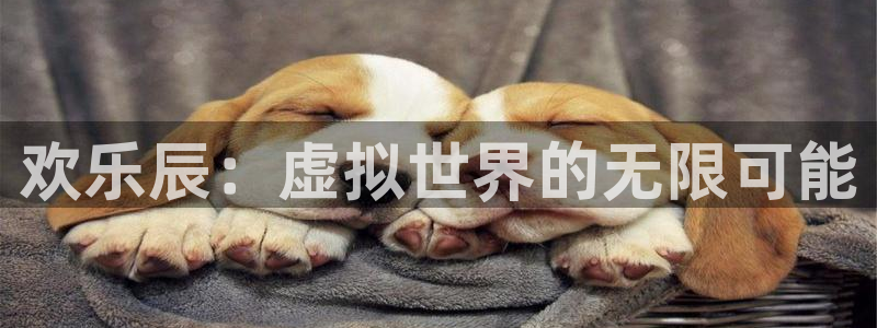 庄闲和游戏官网：欢乐辰：虚拟世界的无限可能