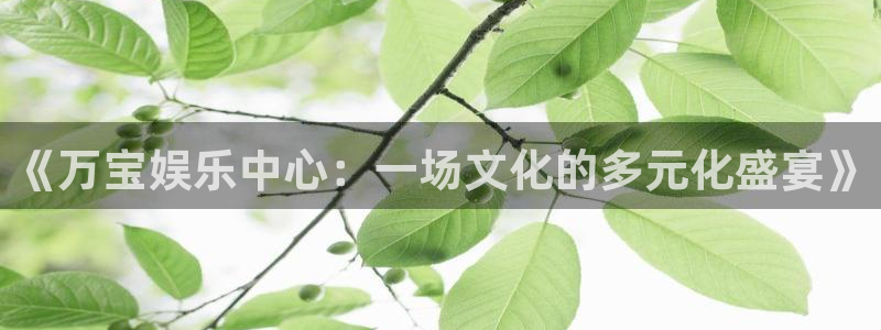 庄闲和游戏官网：《万宝娱乐中心：一场文化的多元化盛宴》