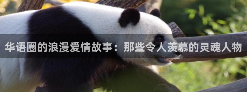 庄闲和游戏官网：华语圈的浪漫爱情故事：那些令人羡慕的灵魂人物