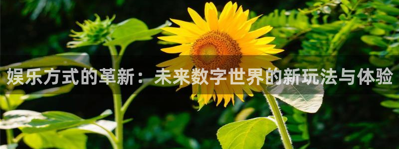 庄闲和游戏官网：娱乐方式的革新：未来数字世界的新玩法与体验