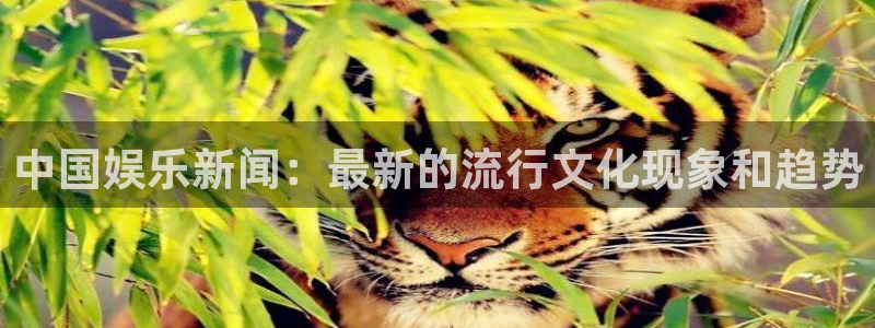 庄闲和游戏官网：中国娱乐新闻：最新的流行文化现象和趋势